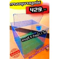 ราคา #กรงอนุบาลลูกไก่ #กรงอนุบาลลูกไก่พับได้ แข็งแรงมาก มีขาอะลูมิเนียมสวม ตาข่ายเหนียวแน่นเบอร์15 (4878958264)