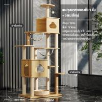 ราคา คอนโดแมว ไม้ ขนาดใหญ่ สูง190CM แคปซูลอวกาศสองชั้น 9ชั้น + รังแมวใหญ่ มั่นคง ไม่ล้ม คอนโดแมวไม้ โครงปีนแมว condoแมว (42310636214)