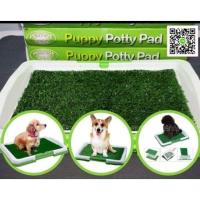 ราคา ถาดขับถ่ายสุนัข ห้องน้ำสุนัข ถาดฉี่ (171377998)