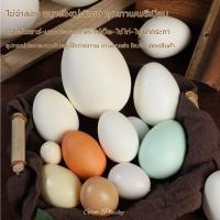 ราคา ไข่จำลองเหมือนจริงทุกขนาด ไข่ไดโนเสาร์-นกกระจอกเทศ-ไข่เป็ด-ไข่ไก่-ไข่นกกระทา พร็อพตกแต่ง & ถ่ายภาพ (44112736721)