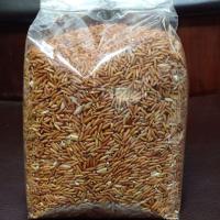 ราคา ข้าวสังข์หยด พัทลุงแท้!!!!! ถุง 1 กก. (6119016459)