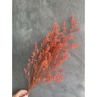 ราคา แคสเปียร์สีส้ม ดอกไม้แห้ง ดอกไม้แซมช่อ (20161423279)