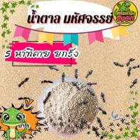 ราคา เหยื่อมด เหยื่อกำจัดมด ยาฆ่ามด ผงฆ่ามด ผงกำจัดมด เหยื่อฆ่ามด กำจัดมด ตายยกรัง เกร็ดน้ำตาลกำจัดมด (29288424846)