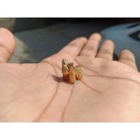 ราคา เครื่องรางรูปวัวขนาดจิ๋ว ตัวที่ 6️⃣ หลวงพ่อพุฒวัดกลางบางพระจังหวัดนครปฐม (15521514282)