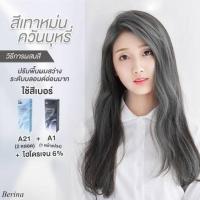 ราคา เบอริน่า ชุดสีเทาควันบุหรี่ A1/A21 (4353577462)