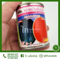 ราคา แตงโม กินรี เค-3 เค3 เมล็ดพันธุ์ แตงโม ตรา ตะวันต้นกล้า บรรจุ 40 กรัม (11358081706)