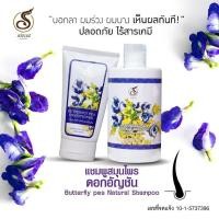 ราคา แชมพูสระผมดอกอัญชันผสมบอระเพ็ด + ครีมนวดบำรุงเส้นผมสมุนไพร (924682837)