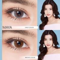 ราคา 1 คู่บิ้กอายตาโต สีน้ำตาล รุ่น Maya Brown แบรนด์ Sweety Plus ขนาด 14.5 ค่าสายตาปกติ (3154985284)