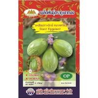 ราคา เมล็ดพันธุ์ มะเขือเปราะยักษ์ ภูเขาทอง (43858557409)