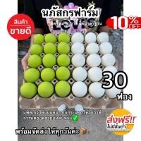 ราคา ไข่เค็มและไข่เยี่ยวม้า(สีชาเขียว) อย่างละ15ฟอง สดใหม่ (40461635205)