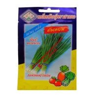 ราคา เมล็ดพันธุ์ ต้นหอม พันธุ์หอมนวล bunchung onion ดูแลน้อย ต้นแข็งแรง ปลูกง่าย น้ำหนักดี ผักสวนครัว (25691090599)