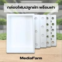 ราคา กล่องโฟมปลูกผัก กล่องโฟม ลังโฟม ปลูกผักไฮโดร กล่องกุ้ง กล่องลังโฟม 10กิโล (41750964866)