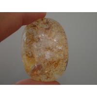 ราคา แก้วโป่งข่าม แก้วกาบเงิน กาบทอง (1464601643)