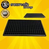 ราคา ถาดเพาะ ถาดเพาะกล้า เพาะต้นกล้า เพาะชำ ขนาด 105 หลุม และ 200หลุม เพาะพืชผักสวนครัวได้ (6796154587)