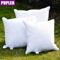 ราคา แกนเบาะขนสัตว์เป็ดสีขาวประเภทอวบโซฟาหมอนข้างเตียงแกนลงแกนหมอน (26443256378)