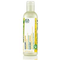ราคา The Body Shop Rainforest Conditioner 250ml