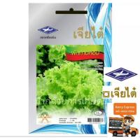 ราคา เมล็ดผักกาดหอม (ผักสลัด) เมล็ดพันธุ์ผักเจียไต๋ ซอง15 บาท ผักกาดหอม สลัด (3818892246)
