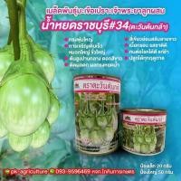 ราคา เมล็ดพันธุ์มะเขือ น้ำหยดราชบุรี #34 ขนาด 20-50 กรัม (4215187547)