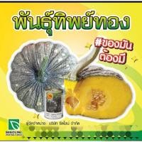 ราคา เมล็ดพันธุ์ฟักทอง(ลายข้าวตอก ทิพย์ทอง) (25236646617)