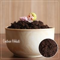 ราคา พีทมอส สำหรับเพาะเมล็ดหรือต้นกล้า (906660041)