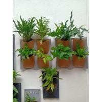 ราคา กระถางสวนแนวตั้ง #กระถางติดผนัง #กระถางห้อยผนัง #กระถางยาง (6345119257)