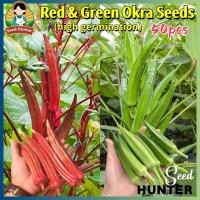 ราคา เมล็ดพันธุ์ กระเจี๊ยบเขียว เมล็ดกระเจี๊ยบ เมล็ดกระเจี๊ยบเขียว 50เมล็ด/แพ็ค Red & Green Okra Seeds ของแท้ 100% ปลูกง่าย (24794122869)
