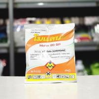 ราคา โมแลน สารป้องกันกำจัดแมลง สารอะเซทามิพริด กำจัดและป้องกัน เพลี้ยไฟ แมลงบั่ว และ แมลงปีกชนิดต่างๆ ขนาด100 กรัม (24541373394)