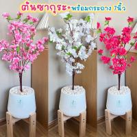 ราคา ต้นซากุระ ต้นซากุระขาว พร้อมกระถาง7นิ้ว ต้นไม้ปลอม (21694617379)