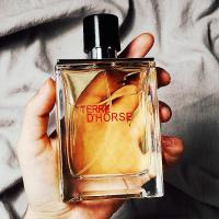 ราคา ขายดี TERRE Eau de Toilette for Men 100ml, กลิ่นหอมติดทนนาน, Woody Notes, สเปรย์น้ําหอมโคโลญจน์ (43075245727)