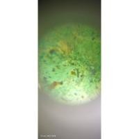 ราคา สีผึ้งเขียวมรกต หลวงปู่ทาบ วัดกระบกขึ้นผึ้ง ของแท้รับประกัน จำไว้ครับของถูกไม่ดีของดีไม่ถูก (25184741976)