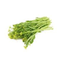 ราคา กวางตุ้งดอก 1 กก./แพ็ค (24346232232)