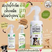 ราคา 000 #มีโค้ดส่งฟรี สิงโตนำโชค Organic Earth ออแกนิค เอิร์ธ สเปรย์ไล่แมลงสาป สเปรย์กำจัดเห็บ หมัด มด ยุง หนู จิ้งจก ตุ๊กแก จากสารสกัดธรรมชาติ 100% สมุนไพรไล่แมลง ปลอดภัยต่อคน (12637605854)