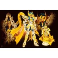 ราคา ์New Saint Cloth Myth EX Aquarius Camus (God Cloth) คามิว อเวค Bandai Saint Seiya (11429362350)