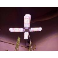 ราคา ไฟปลูกต้นไม้ LED Grow Light Full Spectrum 75W ยี่ห้อ JMF E27 หลอดไฟปลูกต้นไม้ ไฟต้นไม้ สําหรับปลูกพืชเรือนกระจก (25368817363)