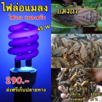 ราคา หลอดไฟล่อแมลง แบล็คไลท์ 45วัตต์ ไฟแมงดา black light 45W (ไฟบ้าน) E27 (20803354260)
