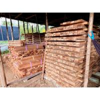 ราคา ไม้ยางนา 3 นิ้ว 1 เมตร (40721387193)