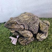 ราคา กบปูนปั้น ขนาด 6 นิ้ว กบเหมือนจริง ตุ๊กตาปูนปั้น ตกแต่งสวน (22413284258)