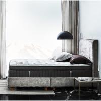 ราคา SB Design Square ที่นอน Omazz รุ่น Fanthom ขนาด 3.5 ฟุต แถมฟรีหมอนหนุน 1 ใบ (24458002612)