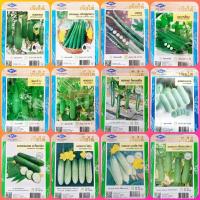 ราคา เมล็ดพันธุ์ผัก เจียไต๋ ผักซอง แตงร้าน แตงกวา โรเบอร์โต แตงกวาญี่ปุ่น แตงกวาขาว บวบงู สาลี บวบหอมยาว บวบหอม บวบเหลี่ยม (6134731697)
