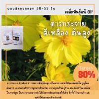 ราคา เมล็ดพันธุ์ ดอกดาวกระจายสีเหลือง 150 เมล็ด ดาวกระจาย cosmos ✅ราคาถูกปลูกง่าย ดอกสวยมากซื้อ10แถม1 คละได้ (19416073367)