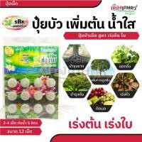 ราคา ช่องาม ปุ๋ยบัว สูตรดอก สูตรใบ ปุ๋ยบัว ขนาด 12 เม็ด ช่วยให้ บัวเติบโต ดอกสวย เร่งดอก เร่งต้น เร่งใบ (26259476376)