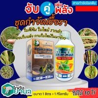 ราคา ชุดกำจัดเชื้อราในนาข้าว ฟอสอีทิล+ไอโซโพรไปโอเลน (ตราไก่เกษตร) ขนาด 1กิโลกรัม+1ลิตร ใบสีส้ม ขอบใบแห้ง กาบใบไหม้ในนาข้าว (26353679608)