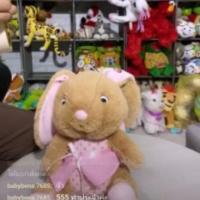 ราคา สินค้าจาก Live สด - กระต่าย และอื่นๆ มือสอง (3929111929)