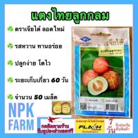 ราคา แตงไทยลูกกลม แตงไทย หมดอายุ 22/08/2568 จำนวน 50 เมล็ด/ซอง งอกดี ปลูกง่าย รสหวาน ทานอร่อย (25386154314)