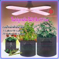 ราคา ถูกที่สุด ไฟปลูกต้นไม้ 185W Grow Light ไฟปลูก เต็มสเปกตรัม หลอดไฟปลูกต้นไม้ ไฟปลูกผัก สมุนไพร ไฟปลูกดอกไม้ หลอดไฟ e27 (22716839623)