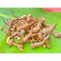 ราคา เหง้าพันธุ์กระชายเหลือง หรือกระชายขาว 500กรัม พร้อมปลูก (25580186110)