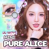 ราคา คอนแทคเลนส์ ✨ขนาดบิ๊กอายตาหวาน✨Brown/Gray✨ Pure alice (Shinee) (26336748735)