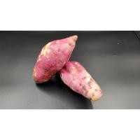 ราคา มันเทศ สดสะอาด ผักสด (3874401724)