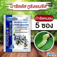 ราคา อูเมะไลฟ์ บาซิลัส ทูริงเยนซิส 100 กรัม แพ็ค 1-5 ซอง จุลินทรีย์กำจัดหนอน ป้องกันแมลงกินใบ ใบเหี่ยว (26400841138)