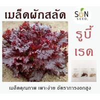 ราคา เมล็ดสลัดรูบี้เรด (Ruby Red) 10 บาท 100-120 เมล็ด เพาะง่าย อัตราการงอกสูง ผัก เมล็ดผัก เมล็ดพันธุ์ สลัด ผักสลัด (14522340013)